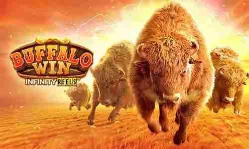 สูตรสล็อต Buffalo Win