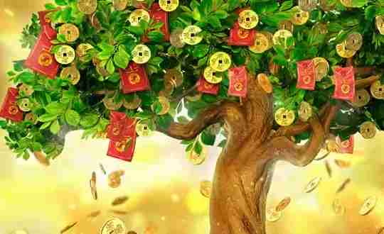 สูตรสล็อต Tree Of Fortune
